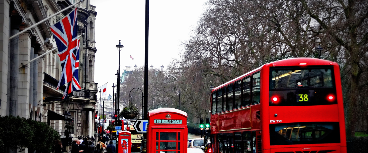 design my travel